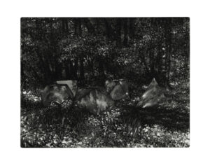 Kosmos II
Aquatinta, Weichgrund auf Bütten
29 x 33 cm