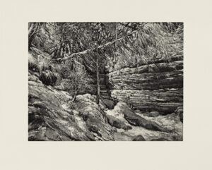 Elbsandsteingebirge (Studie II)
Aquatinta, Weichgrund auf Bütten
31 x 43 cm (16 x 21,3 cm)
2026